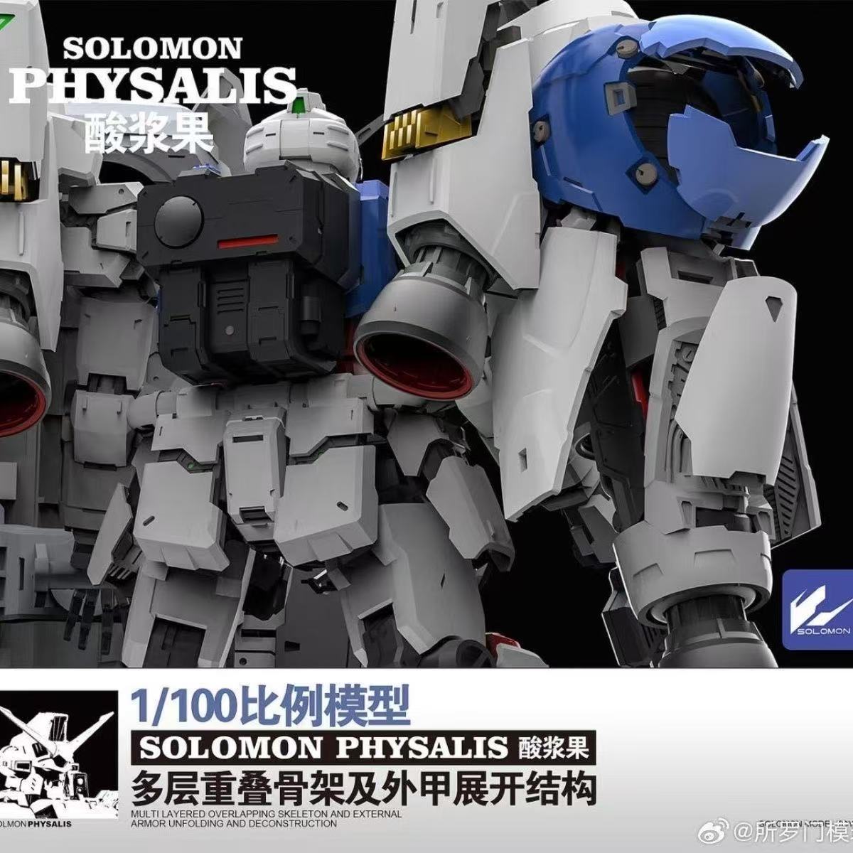 In Stock SOLOMON PHYSALIS GP02 - огляд і ціна Model Kit Code Geass